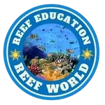 reef-education.webp